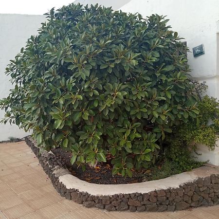 Aguas Verdes Betancuría Esterno foto